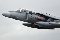 HARRIER_4