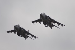 HARRIER_9