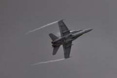 F18_FINNISH_11