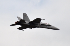 F18_FINNISH_28