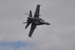 F18_FINNISH_29