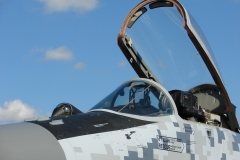 Mig29_2