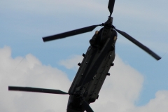 chinook_2