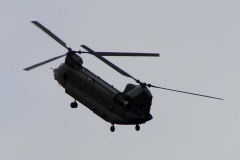 chinook_3