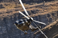 Choppers_3