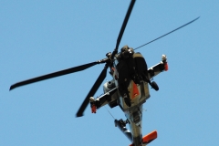 riat2013_44