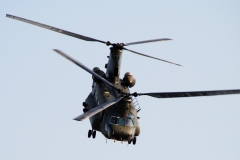 riat2013_39